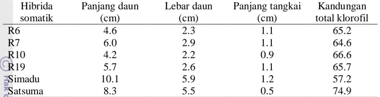 Tabel 26. Morfologi   dan kandungan klorofil daun hibrida somatik  pada umur 5                  bulan setelah penyambungan