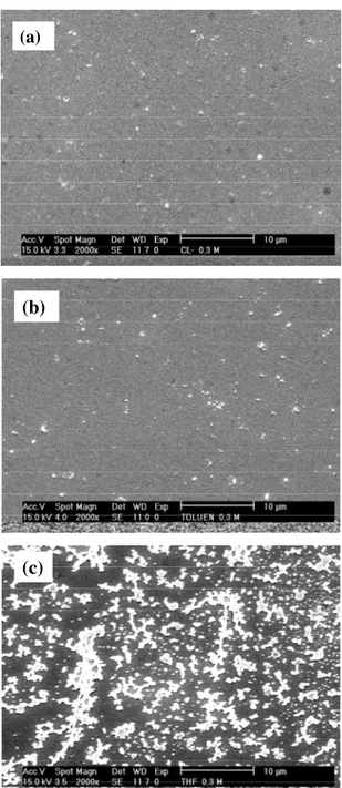 Gambar 6.  Foto SEM permukaan film tipis MEH-PPV yang di spin-coating dari larutan  konsentrasi 0.3 % dengan pelarut (a)
