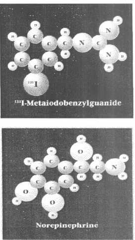 Gambar 1. Struktur l3lI-MIBG (meta- (meta-iodobenzilguanidin) dan norepinephrine