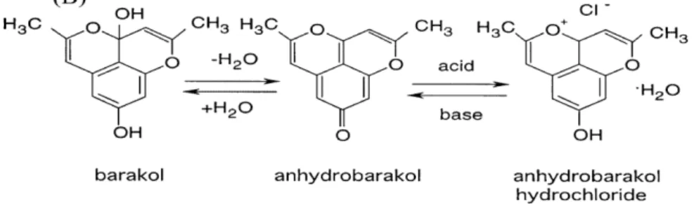 Gambar 3. Reaksi perubahan barakol, anhidrobarakol, dan   anhidrobarakol hidroklorida (Thongsaard dkk., 2001) 