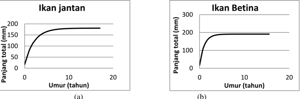 Gambar 3. Grafik pertumbuhan ikan tembakang (Helostoma temminckii) (a) jantan (b) betina yang  tertangkap di Rawa Bawang Latak selama penelitian 