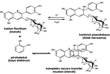 Gambar 7. Perpindahan muatan (charge transfer) kompleks antosianin dengan                        katekol (Castenada et al., 2009) 