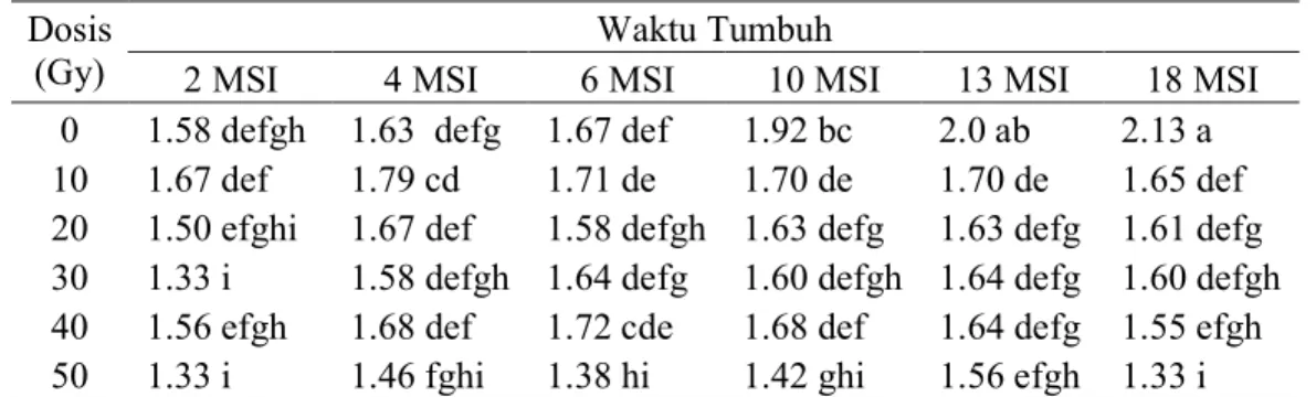 Tabel  3.  Pengaruh  Kombinasi  Dosis  Iradiasi  Sinar  Gamma  (Gy)  dan  Waktu  Tumbuh  Tanaman  terhadap  Karakter  Jumlah  Daun  pada  Stek  Bonggol  Aglaonema sp