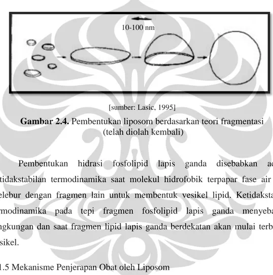 Gambar 2.4. Pembentukan liposom berdasarkan teori fragmentasi   (telah diolah kembali) 