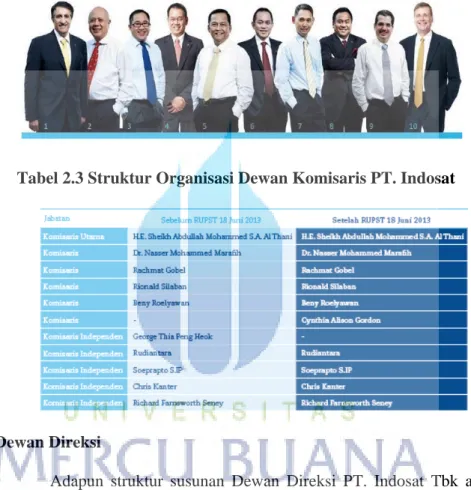 Tabel 2.3 Struktur Organisasi Dewan Komisaris PT. Indosat 