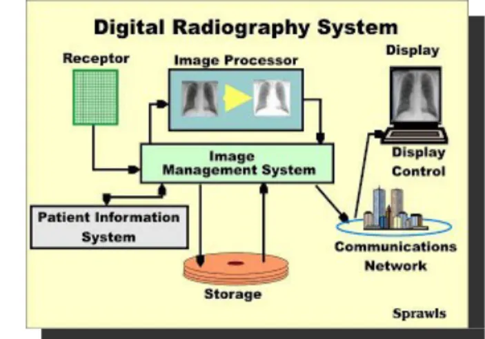 Gambar 3.3 Image Receptor