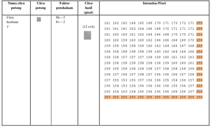 Tabel  4.4.  Hasil  pengujian  pada  proses  penskalaan  untuk  uji  kualitas  gambar  dengan  metode  interpolasi  tetangga  terdekat  dan  interpolasi bilinier