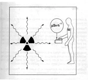 Gambar 2. Pengukuran laju dosis radiasi 