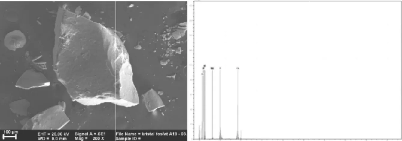Gambar 3. Gambar SEM-EDX Pada Presipitat Kristal