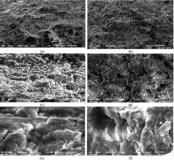 Gambar 4. Hasil Uji SEM dan EDX (a) 6 volt ; 70x, (b) 12 volt ; 70x, (c) 6 volt ; 300x, (d)  12 volt ; 300x, (e) 6 volt ; 1500x, (f) 12 volt ; 1500x 