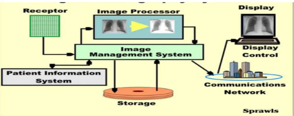 Gambar 6. Skema kerja pada digital radiografi. 