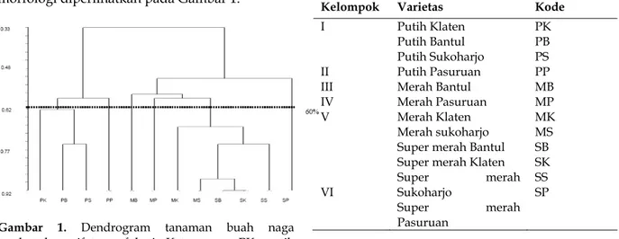 Gambar 1. Dendrogram tanaman buah naga  berdasarkan sifat morfologi. Keterangan: PK: putih 