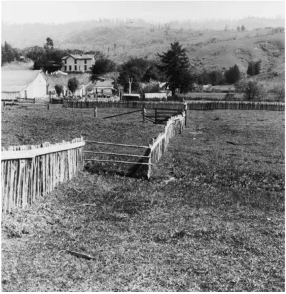 Gambar  2.26  Pagar  mengalami  pergeseran  3  m  di  peternakan  E.  R.  Strain,  Marin  County,  California,  sebagai  akibat  pergeseran  di  sepanjang  patahan  San  Andreas  selama  gempa  besar  tahun  1906  (GK  Gilbert  3028,  US  Geological Survey