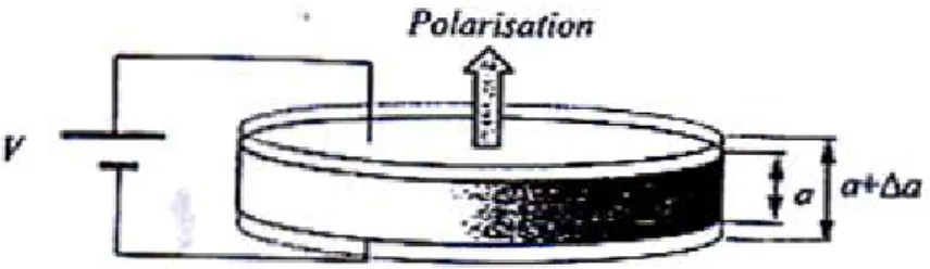 Gambar 6. Deformasi disk keramik piezoeletrik (Lurton, 2002)