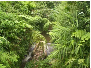 Gambar 6.   Salah Satu Bangunan Dam Pengendali Erosi di Sungai Kecil di Tugu Selatan 