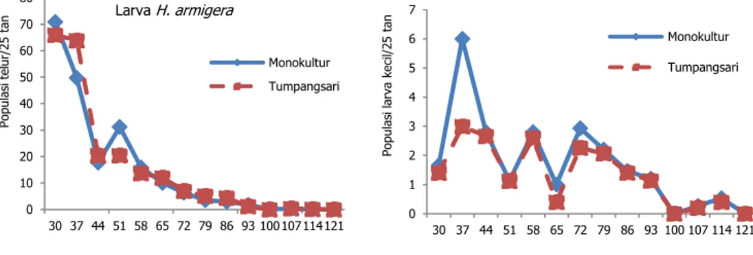 Gambar 1.  Fluktuasi populasi telur dan larva  H. armigera  pada sistem tanam kapas  monokultur  (M)  dan  kapas  tumpangsari  dengan  kacang  hijau  +  jagung  (TS) di Asembagus, MP 2009 