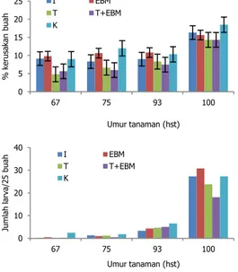 Gambar  2.  Persentase  kerusakan  buah  kapas  (atas)  dan  jumlah  larva  P.  gossypiella   dalam  buah  kapas  (bawah)  pada  perlakuan  teknik   pengen-dalian yang diuji  