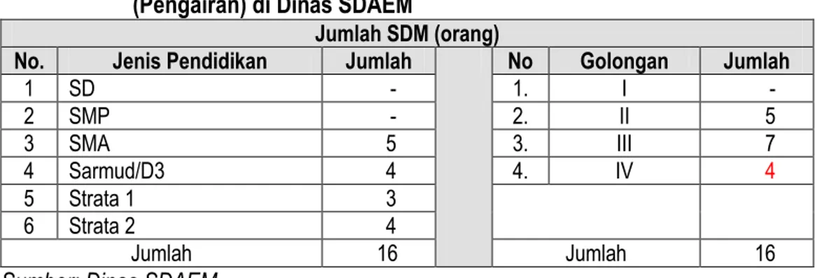Tabel  4.7.    SDM  Penyelenggara  Tugas  Pembantuan  Bidang  Pekerjaan  Umum  (Pengairan) di Dinas SDAEM 