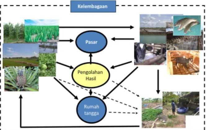 Gambar 1.   Konsep Pertanian Terpadu sistem Bio-Cyclo-Farming  (BCF)