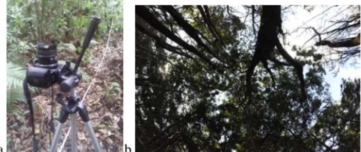 Figure 3. a) Photograph hemispherical device., b) the image of the canopy closure (private collection).