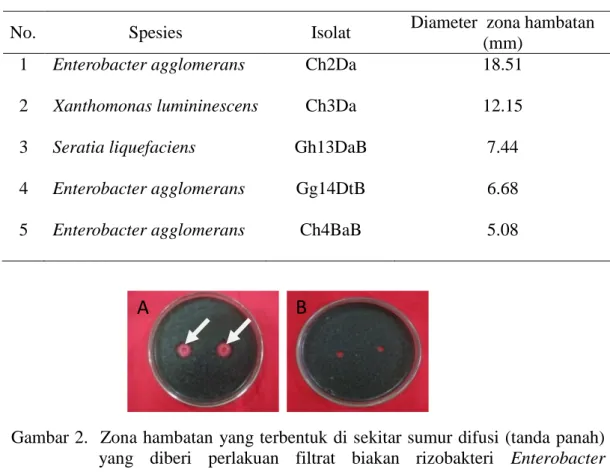 Tabel 3. Daya  hambat filtrat biakan  isolat rizobakteri terhadap  Pyricularia  oryzae  