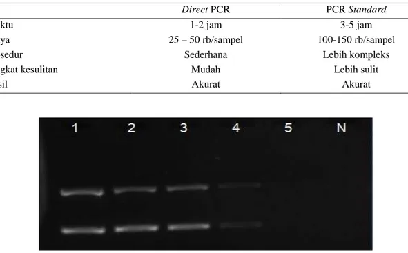 Tabel  3.  memperlihatkan  bahwa  direct  PCR  memiliki  keistimewaan,  dimana  waktu  lebih  cepat,  biaya  lebih  murah,  dan  prosedur  lebih  mudah  sehingga  tidak  melelahkan dengan keakuratan hasil serupa dengan PCR  standard