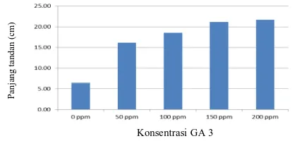 Gambar 1. Pengaruh aplikasi GA3 pada stadia bunga panjang tandan  