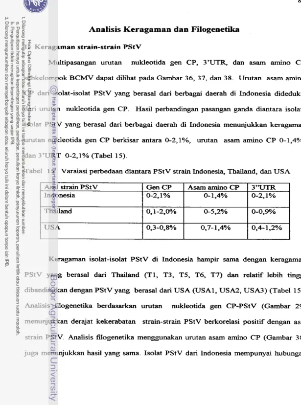Tabel  15.  Varaiasi perbedaan diantara  PStV  strain Indonesia, Thailand, d m   USA 