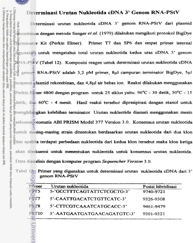 Tabel  12.  Primer yang d i m untuk determinasi urutan  nukIeotida cDNA dari 3'  genom RNA-PStV 
