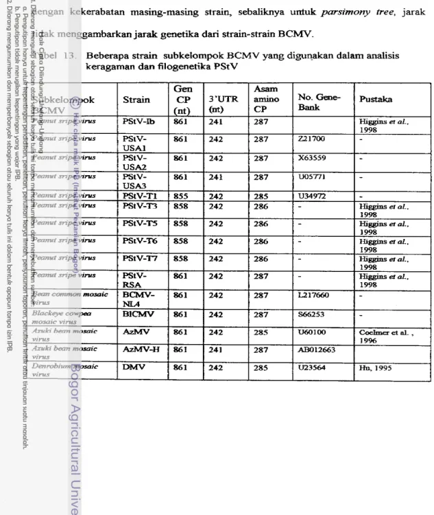 Tabel  1 3 .   Beberapa strain  subkelompok BCMV yang digunakan dalam analisis  keragaman  dan  filogenetika PStV 