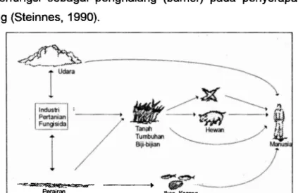 Gambar 1.  Pergerakkan Hg ke ekosistem manusia (Owen, 1980) 