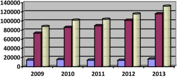 Grafik 1. Rasio Kunjungan Baru terhadap total Kunjungan  RS. dr. H. Marzoeki Mahdi Bogor Tahun 2009 – 2013 
