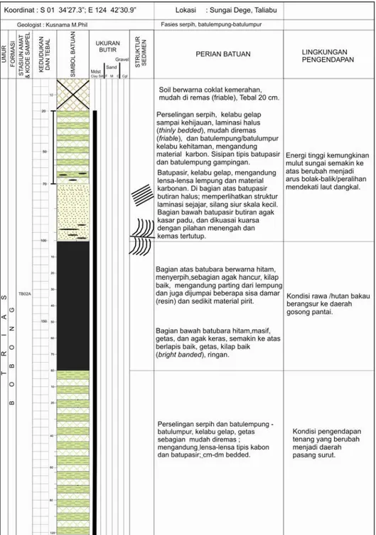 Fasies Dan Lingkungan Pengendapan Formasi Bobong Berumur Jura Sebagai ...