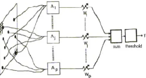 Gambar 2.6 Bentuk Perceptron 