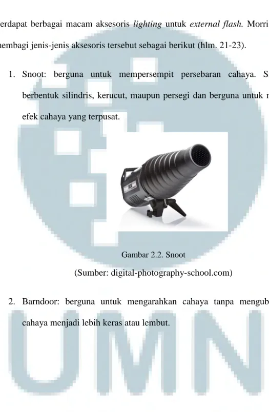 Gambar 2.2. Snoot 