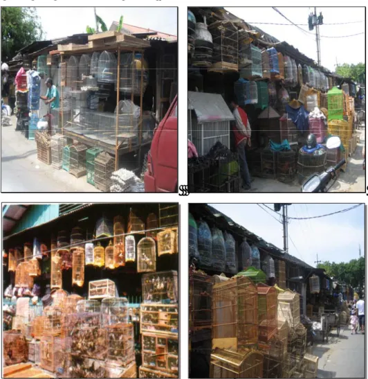 Gambar 6.4 Jenis Perdagangan Satwa di Pasar Bratang dan Pasar Kupang 