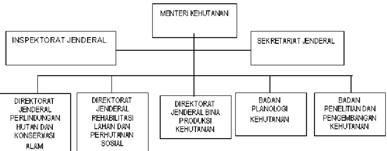 Gambar 12. Struktur Organisasi Departemen Kehutanan
