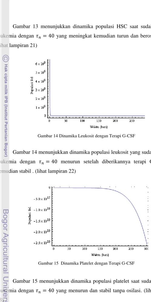 Gambar  13  menunjukkan  dinamika  populasi  HSC  saat  sudah  terinfeksi  leukemia  dengan        yang  meningkat kemudian turun dan berosilasi stabil