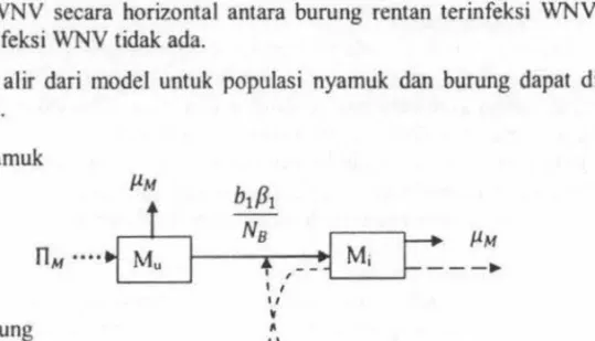 Gambar  I Diagram alir model populasi  nyamuk dan  burung 