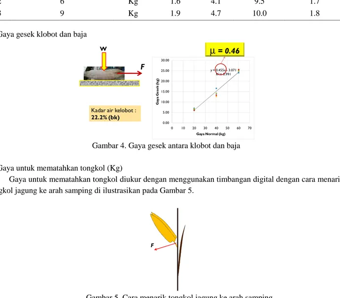 Tabel 4. Ukuran buah jagung sampel-2