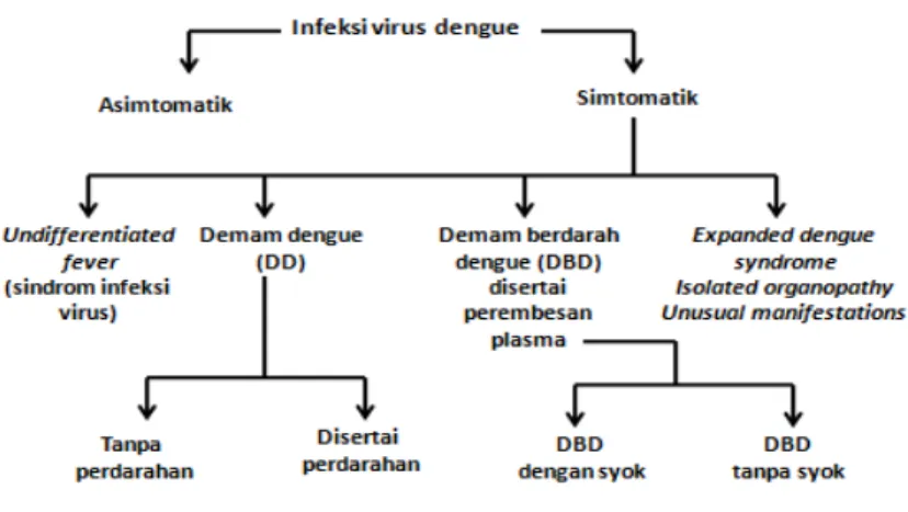 Gambar 1. Skema kriteria diagnosis infeksi dengue menurut WHO 2011 Sumber:World  Health Organization-South East Asia Regional Office