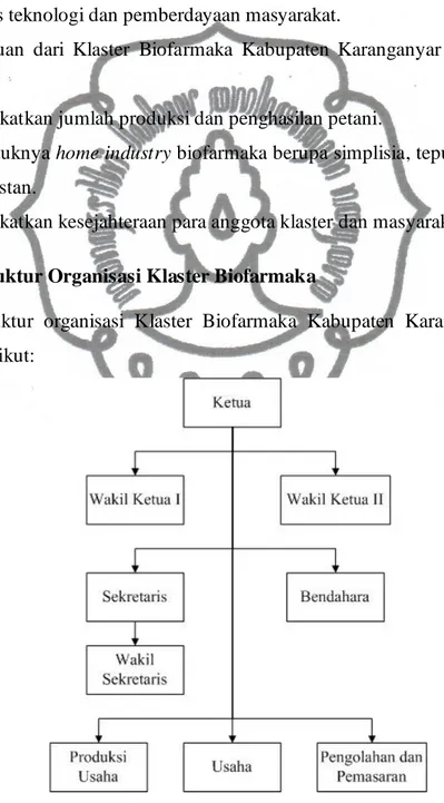 Gambar 2.1 Struktur Organisasi Klaster Biofarmaka  Sumber: Klaster Biofarmaka, 2011 