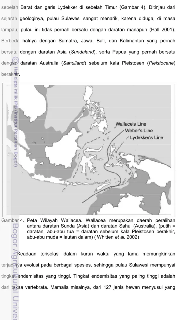 Gambar 4.  Peta  Wilayah  Wallacea.  Wallacea  merupakan  daerah  peralihan  antara  daratan  Sunda  (Asia)  dan  daratan  Sahul  (Australia)