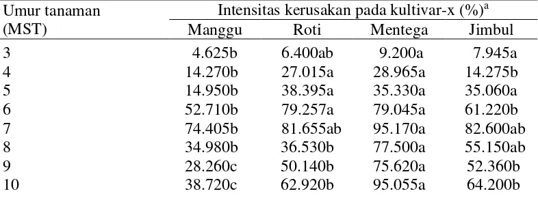 Tabel 2  Intensitas kerusakan oleh T. kanzawai pada keempat kultivar ubi kayu 
