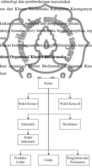 Gambar 2.1 Struktur Organisasi Klaster Biofarmaka  Sumber: Klaster Biofarmaka, 2011 