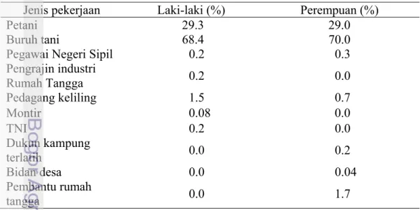 Tabel 2  Persentase laki-laki dan perempuan menurut jenis pekerjaan  Jenis pekerjaan  Laki-laki (%)  Perempuan (%) 