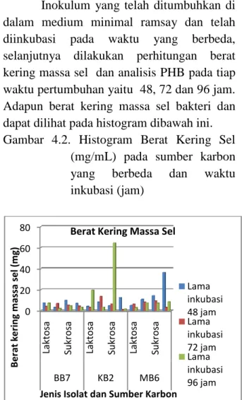 Gambar 4.1. Pewarnaan Gram pada Isolat Bakteri  (a) Isolat BB7, (b) Isolat MB6, dan (c) Isolat 