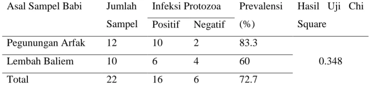 Tabel 1 Prevalensi Infeksi Protozoa pada babi di Lembah Baliem dan Pegunungan Arfak Papua  Asal Sampel Babi  Jumlah 