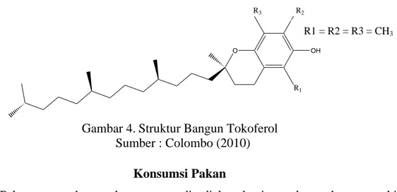 Gambar 4. Struktur Bangun Tokoferol    Sumber : Colombo (2010) 