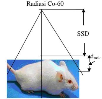 Tabel 1. Kondisi penyinaran dengan SSD 
